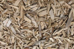 biomass boilers Coton